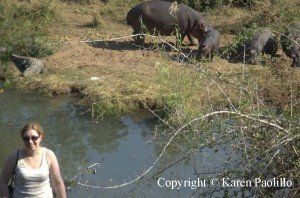 Kirsty and her adopted hippo : Cheeky