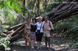 k-jr-hazel-kirsty-rain-forest