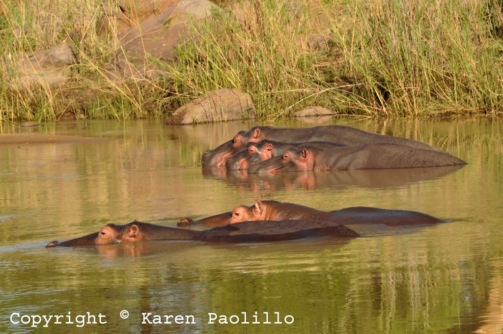Dec. 2012 – Waiting for the Rains