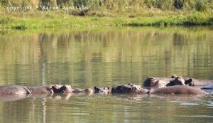 Tembia-and-his-family