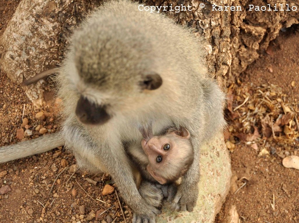 Dec. 2012 – The December Rains