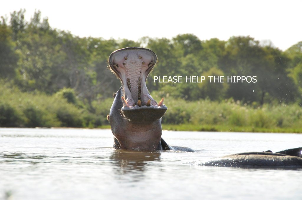 Dec. 2012 – Drought Emergency