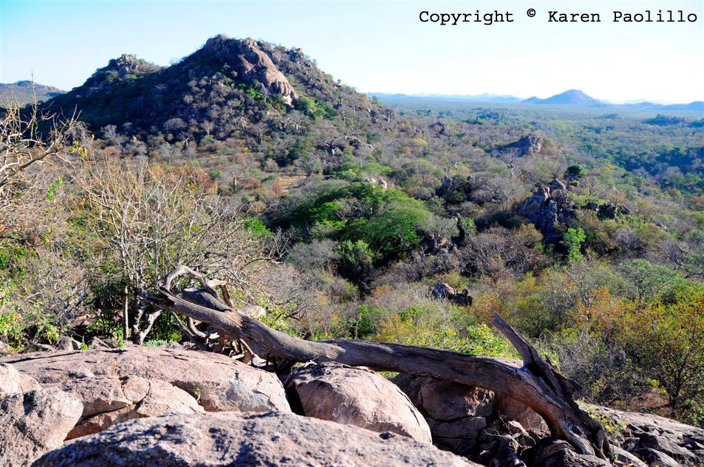Kopjes and bush at Turgwe river