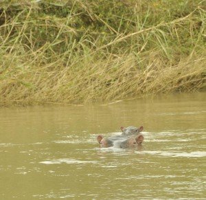 Relief and her first baby
