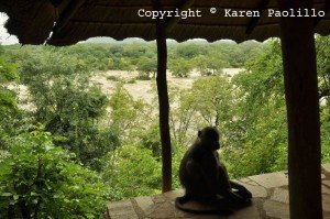 Yoyo-in-the-gazebo-in-front-of-the-flooded-Turgwe-river