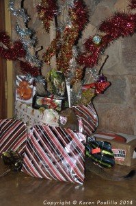 Squiggle-nine-months-old