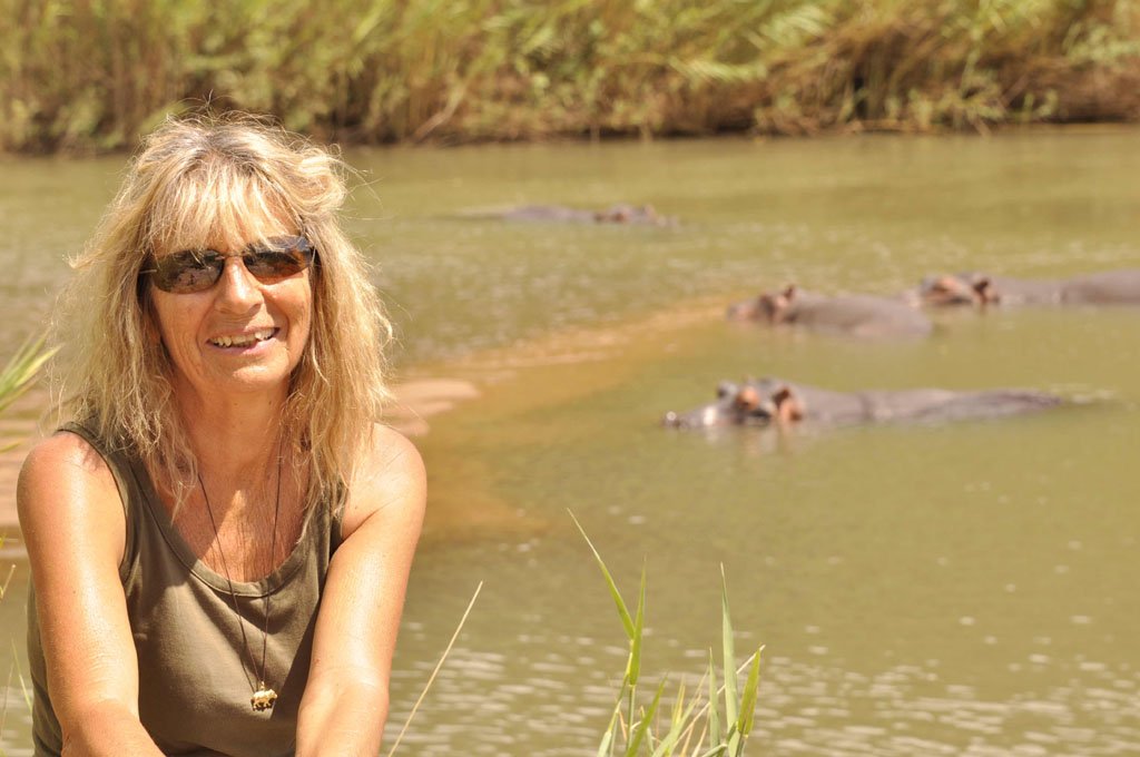 Repairing the  Hippo Pan March 2015