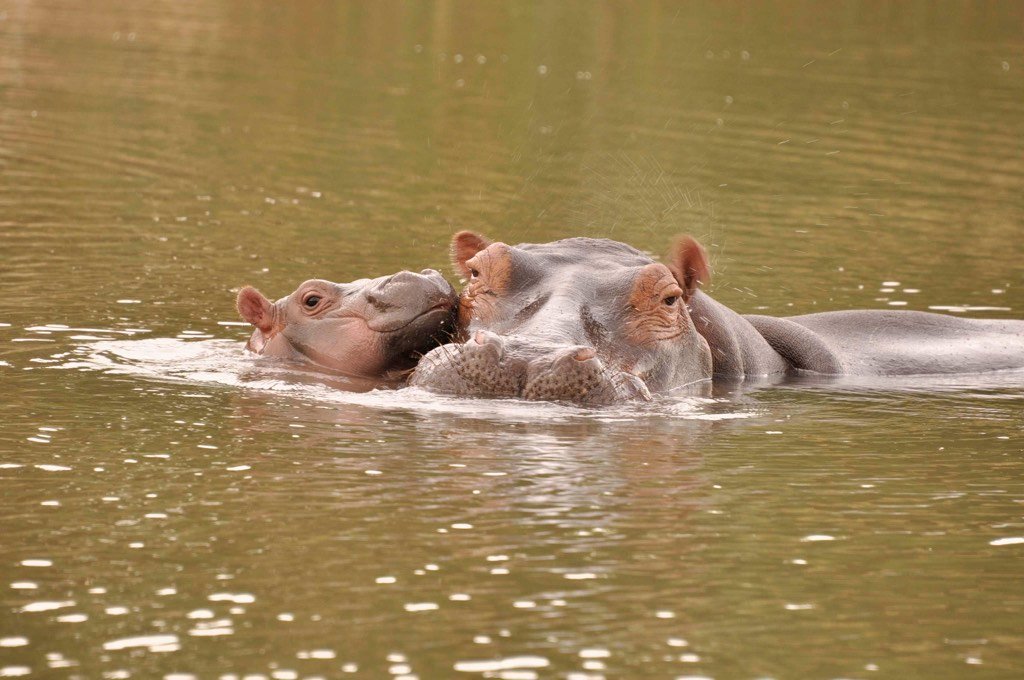 It’s a Boy, Welcome to George !