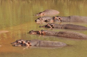 George with the band