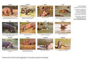 calendard_2017_summary