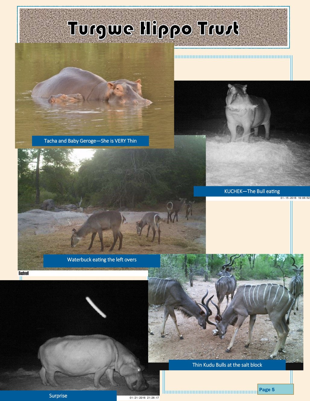 Urgent-drought-Page 5