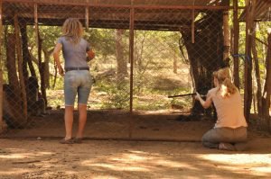 first photo when rosemary was darting yogi