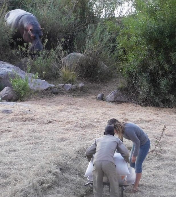 Help the Hippos August 2016