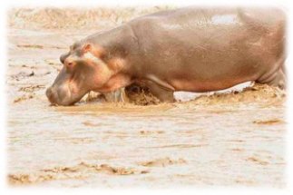 The End of 2016 and a Flooding Turgwe River, bring on the Rains!