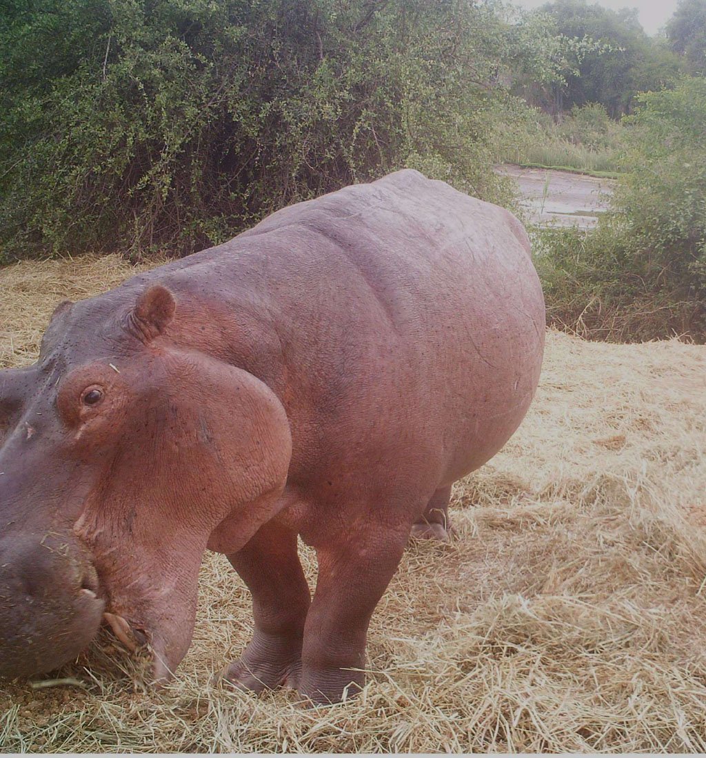 Thank you to supporters November 2016