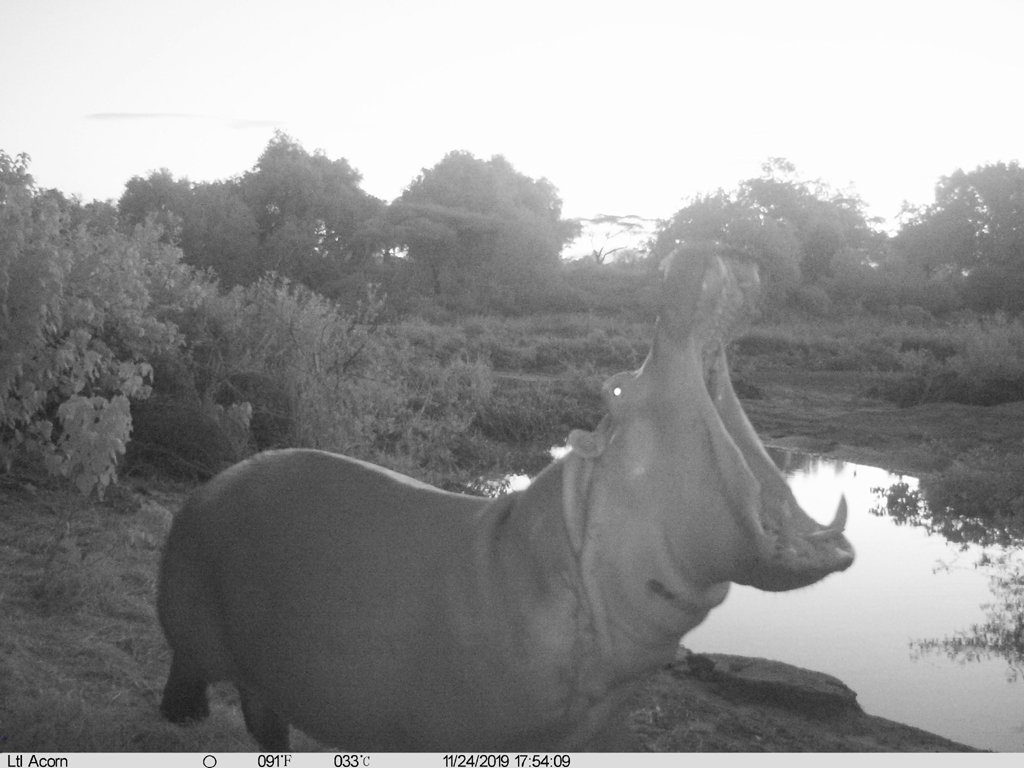 Image shows George saying thank you xx Image shows George saying thank you xx