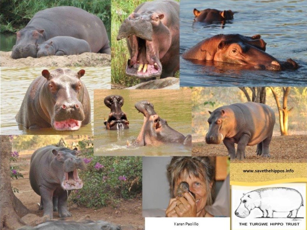 Live Talk Sunday 5th with Dan Richardson