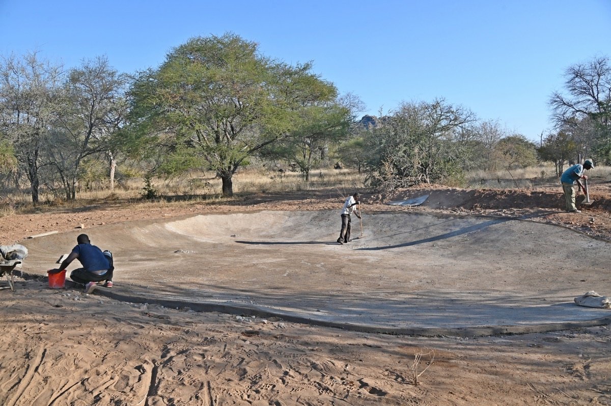 Happenings At Turgwe Hippo Trust