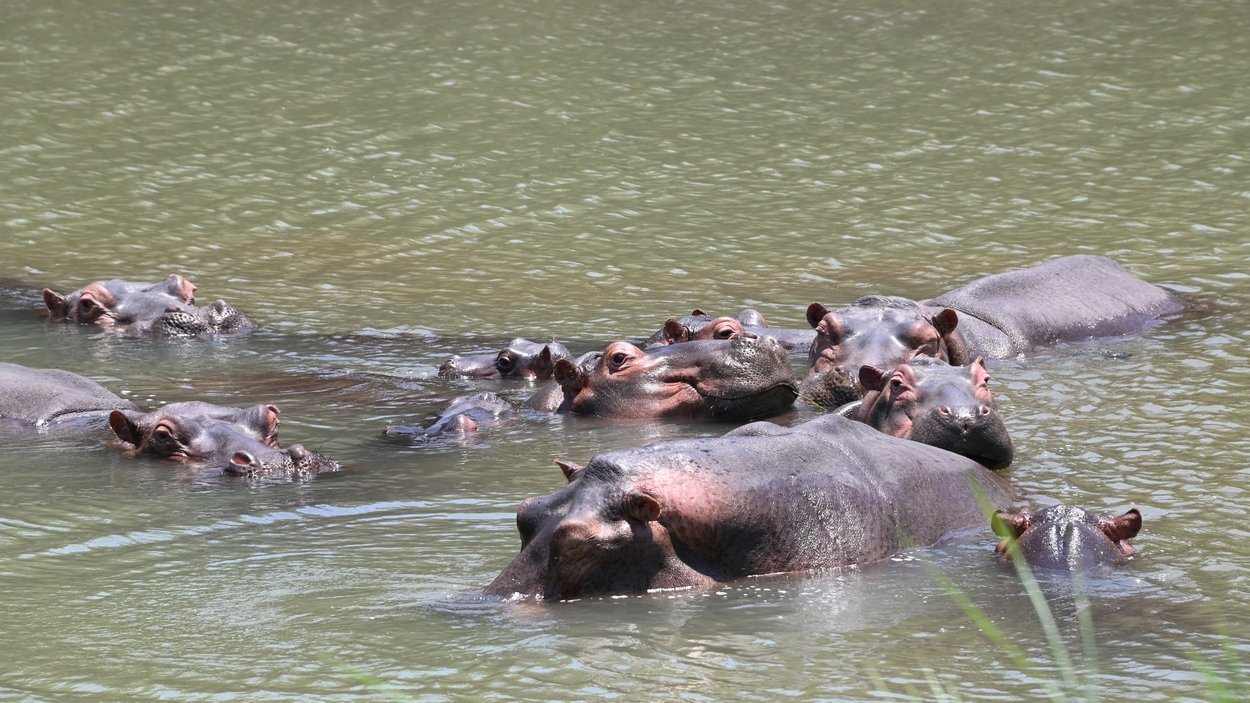 Kucheck Family Dec 2023