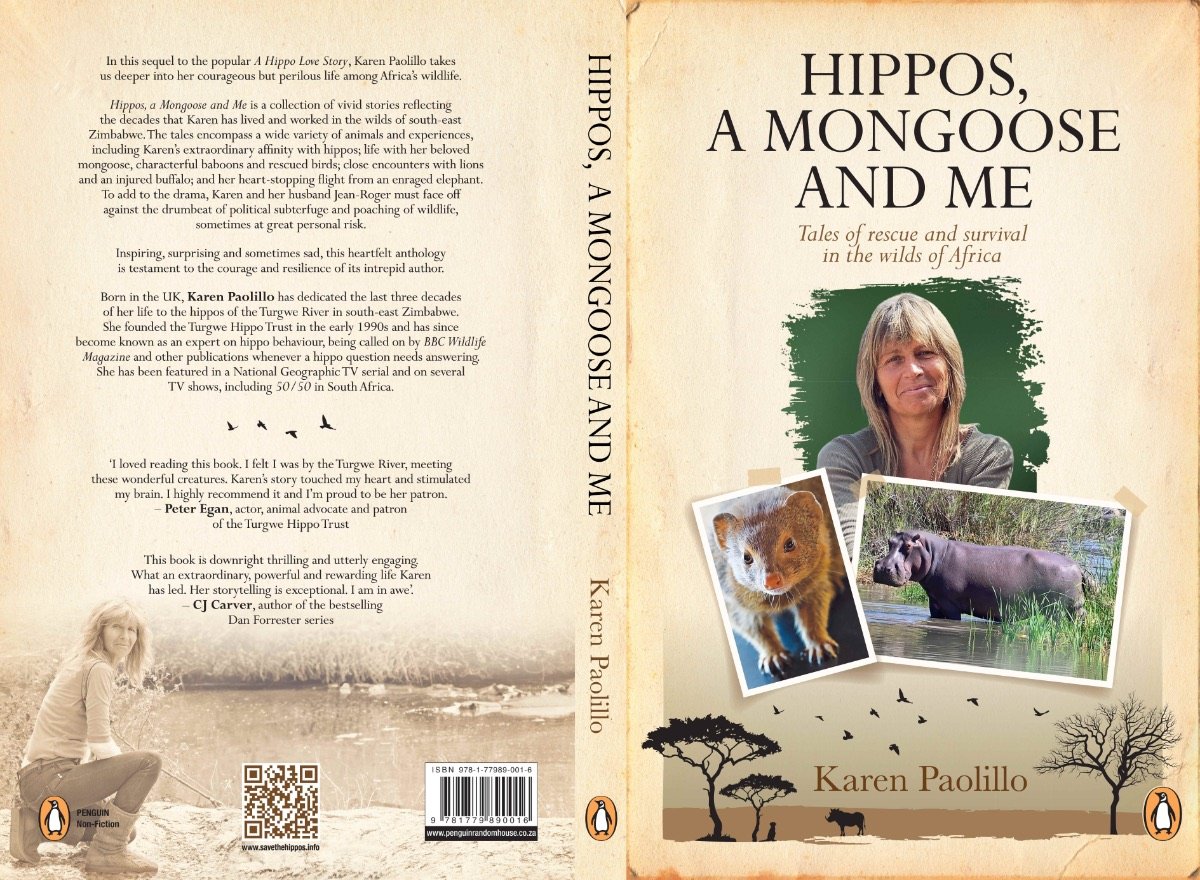 Register for the Live Launch of Karen’s New Book