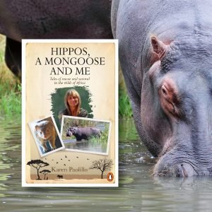 "Hippos, A Mongoose And Me" is a sequel to A Hippo Love Story
