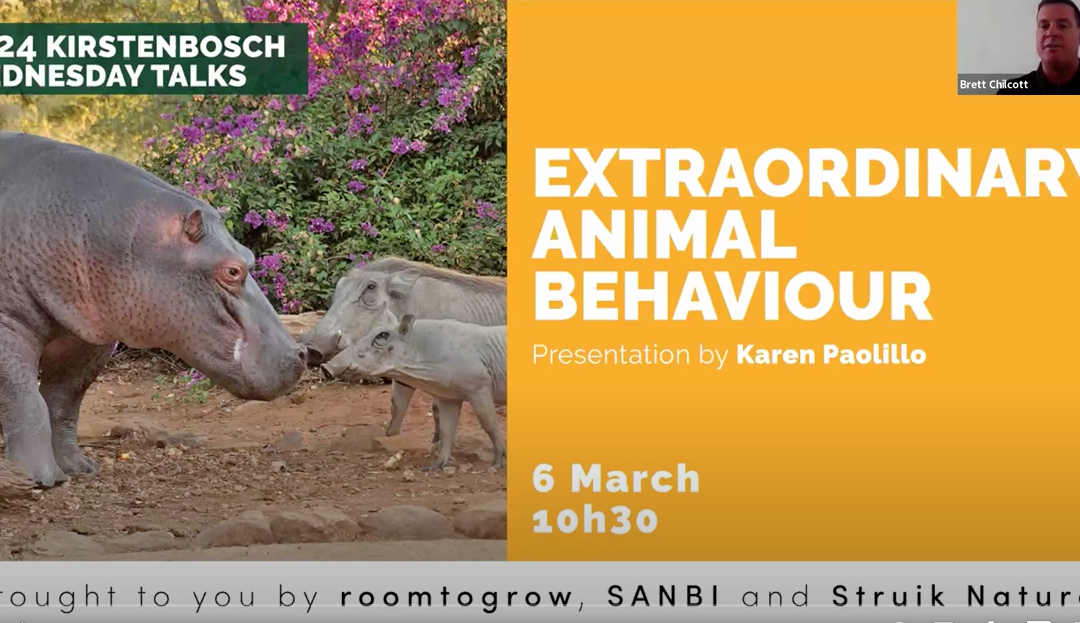 Extraordinary Animal Behaviour